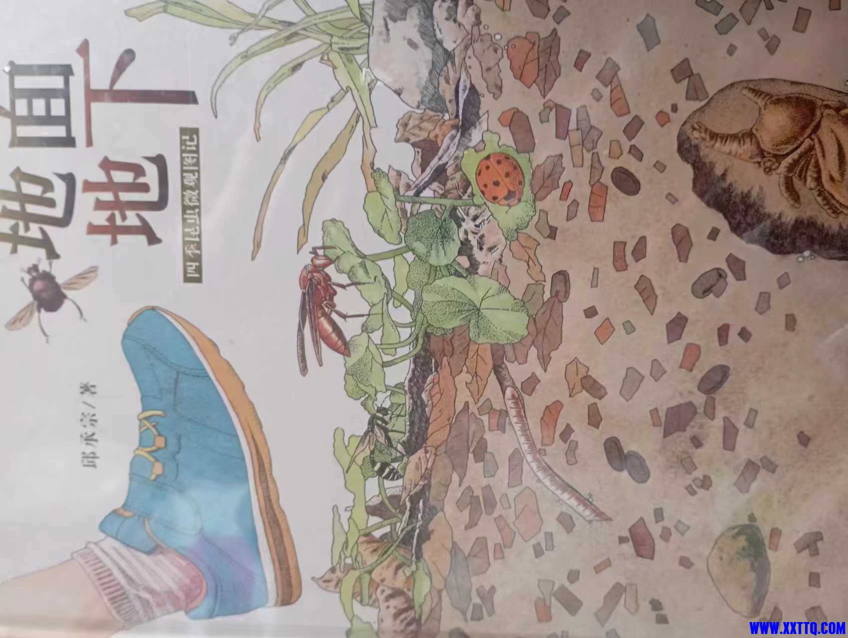 微信图片_202304021416281.jpg