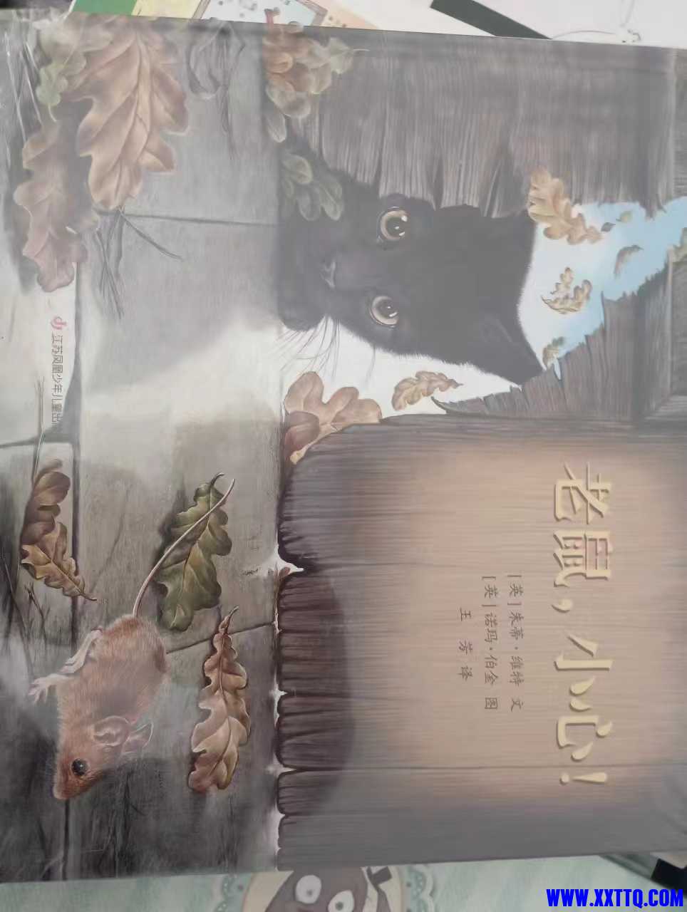 微信图片_202304021416331.jpg