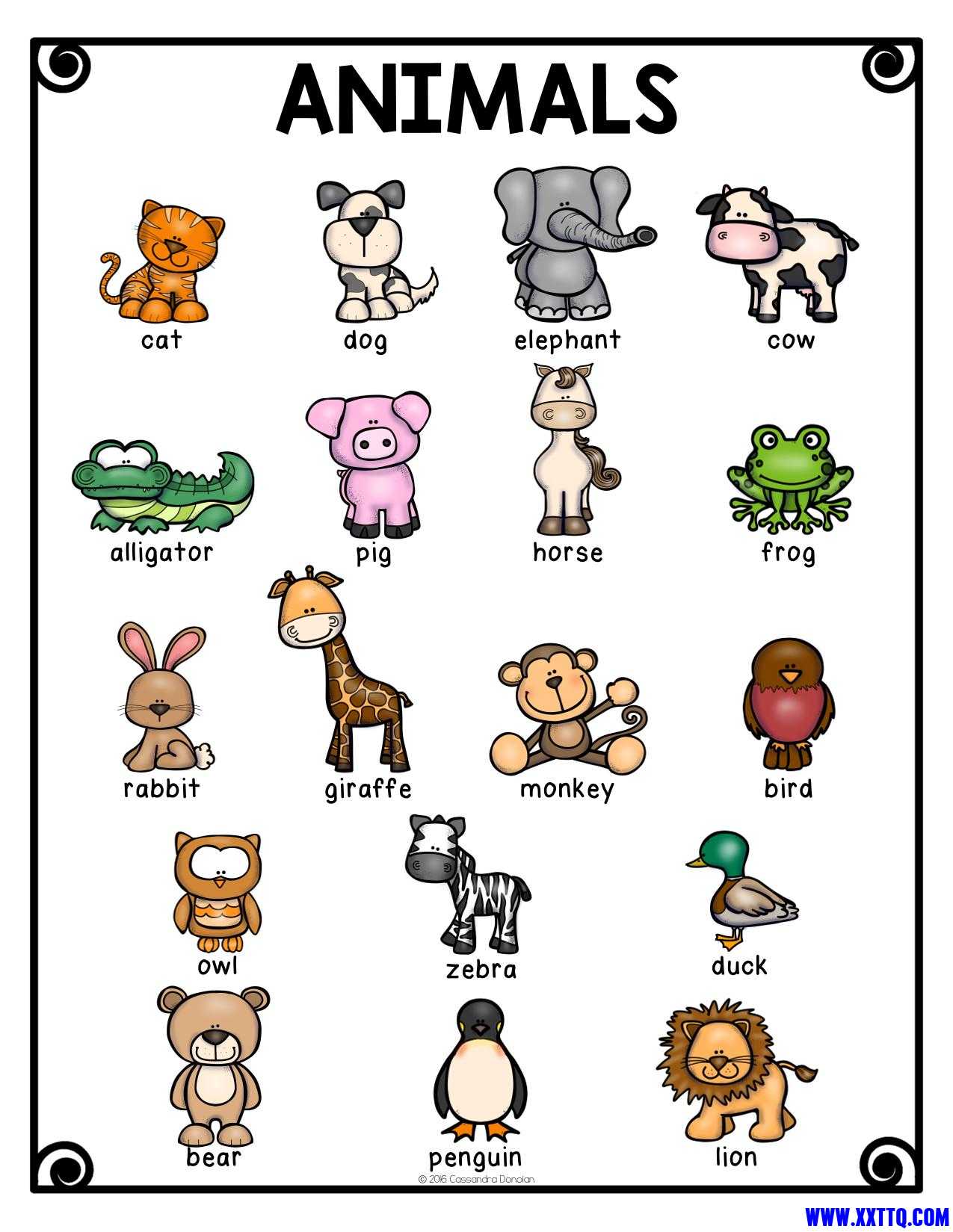 Animals Vocabulary（动物）-04.jpg