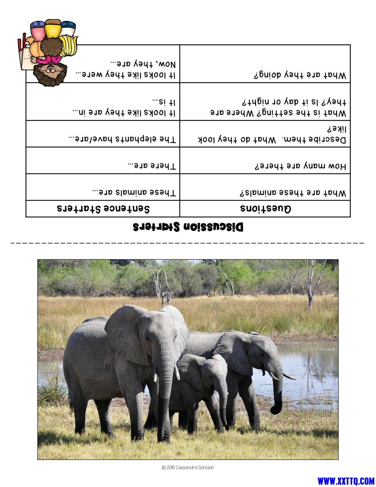Animals Vocabulary（动物）-34.jpg