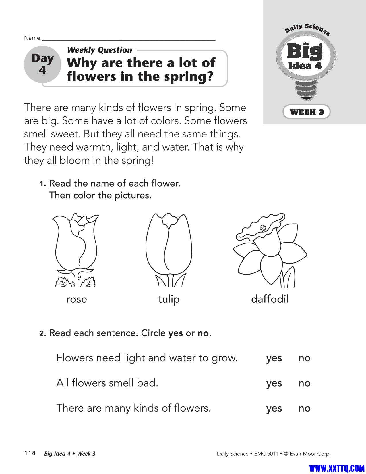 Daily Science Grade 1-118.jpg