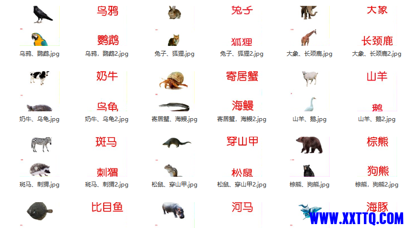 4.png