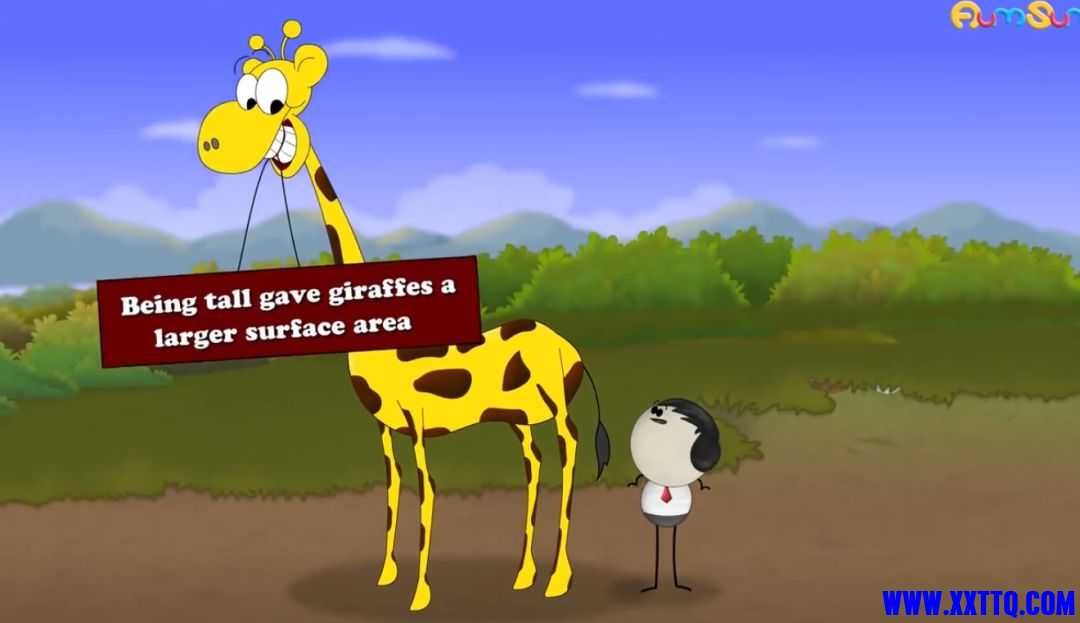 34.jpg