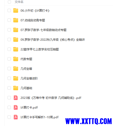 罗胖子.png