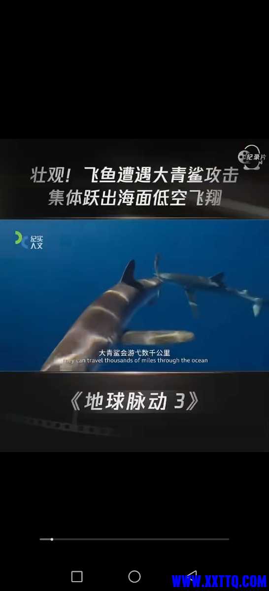 Screenshot_20240613_183321.jpg