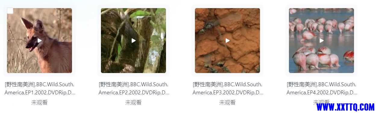 屏幕截图 2024-07-06 224525.jpg