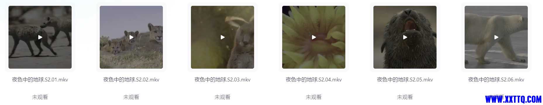 屏幕截图 2024-07-06 224502.jpg