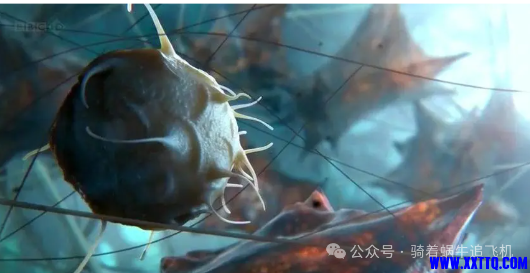 微信图片_20240710082030.png