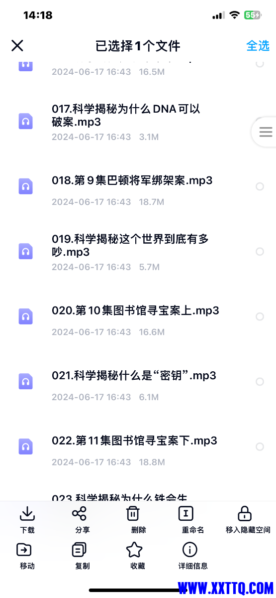 IMG_7241.png