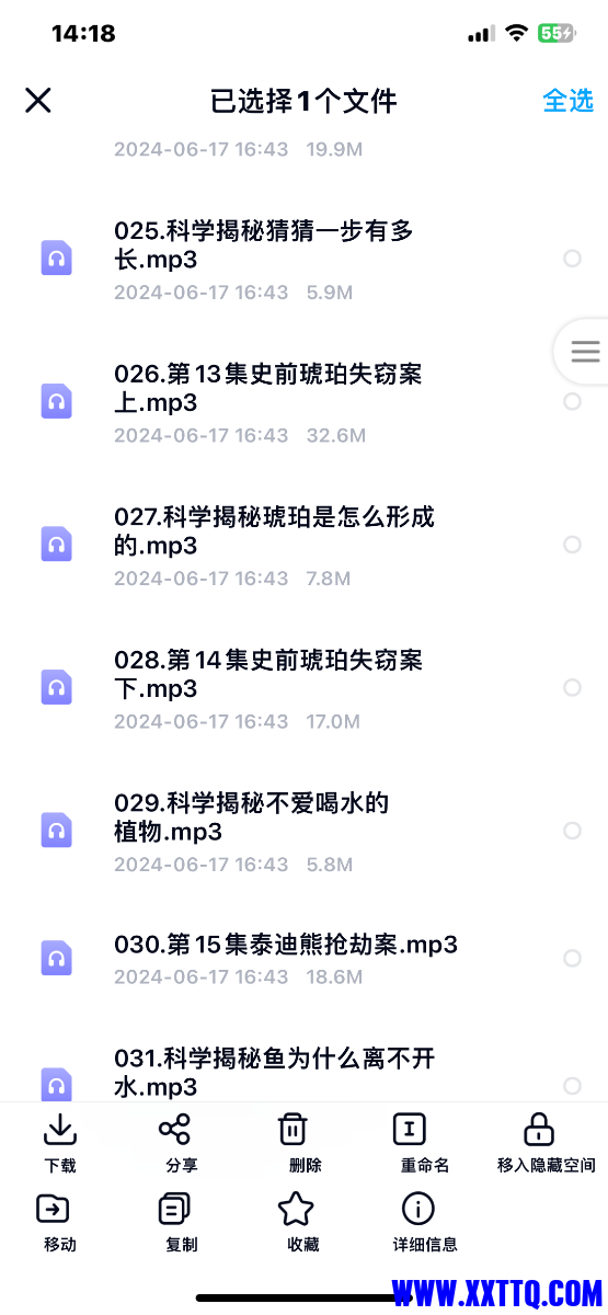 IMG_7242.png