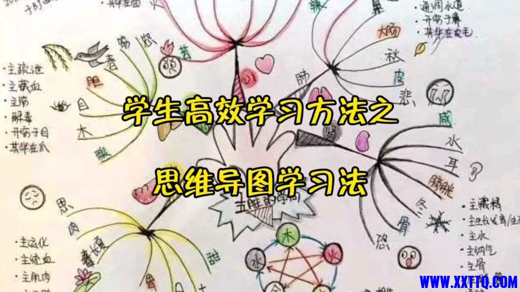 5d2b5724fd6182d4c3208fb6cc77c4e66defa305.jpg