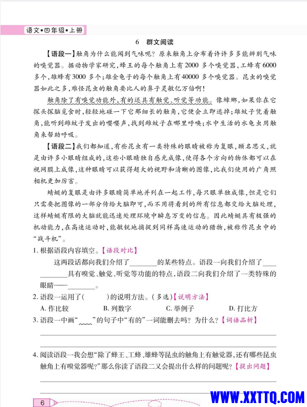 d24e38f5-1dfc-4f25-954b-f04eaf554a6b.png