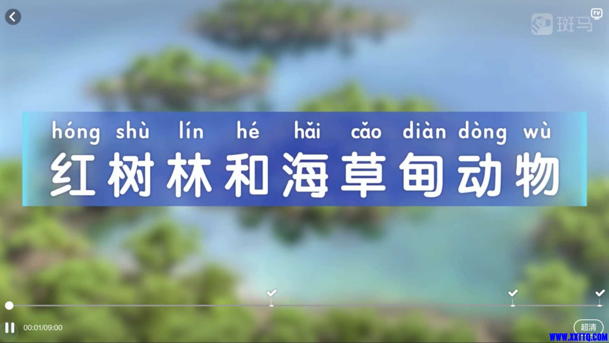 013357u5g0l5v1rk05layr.jpg