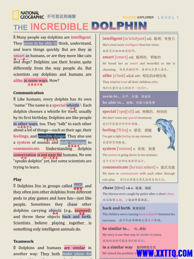 c3e564c7-6c8c-43fe-9fa6-69c23f5774e9.png