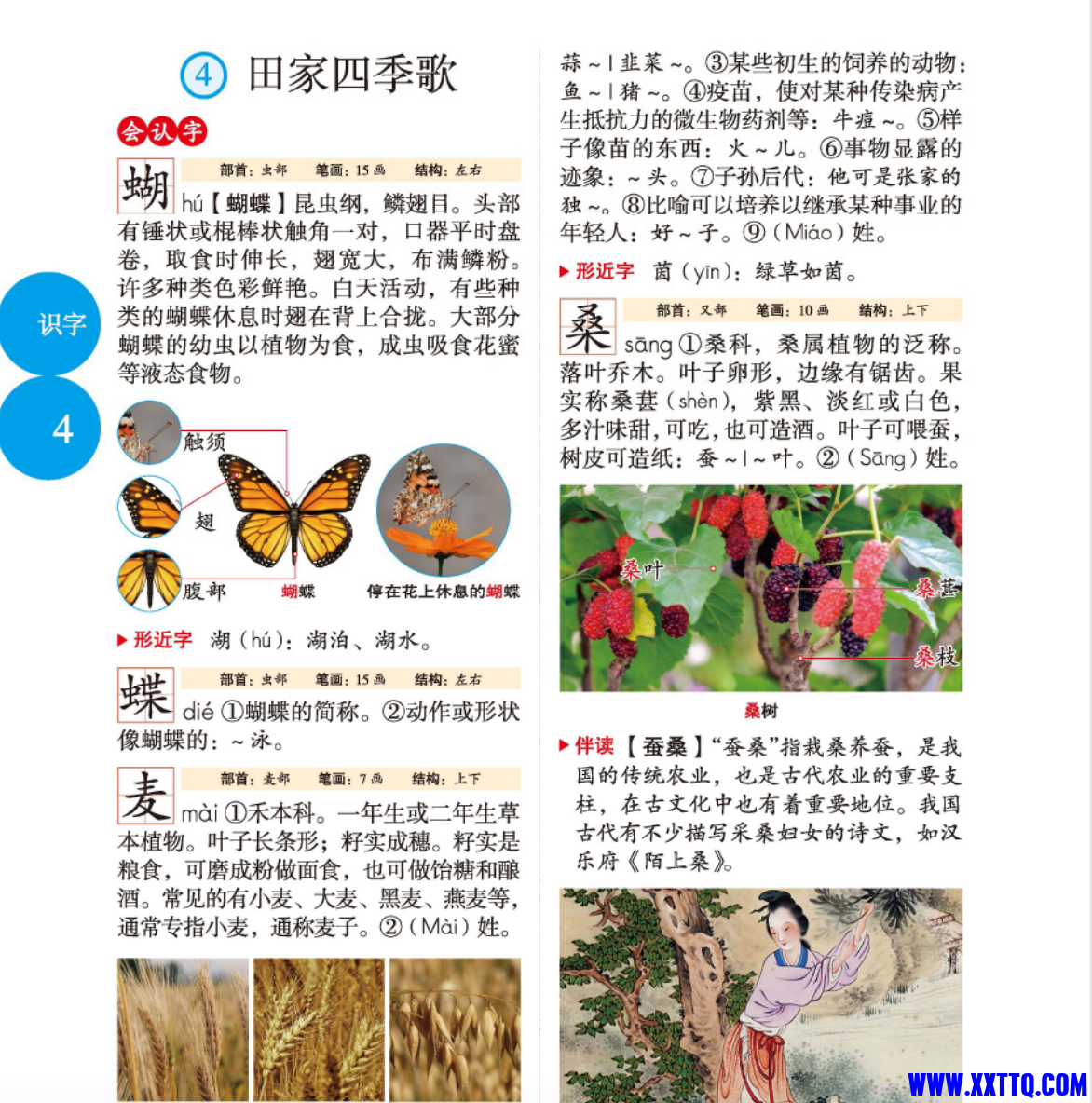 WX20240926-233730@2x.png