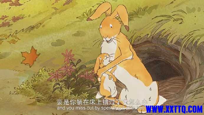 微信截图_20241119200329.png