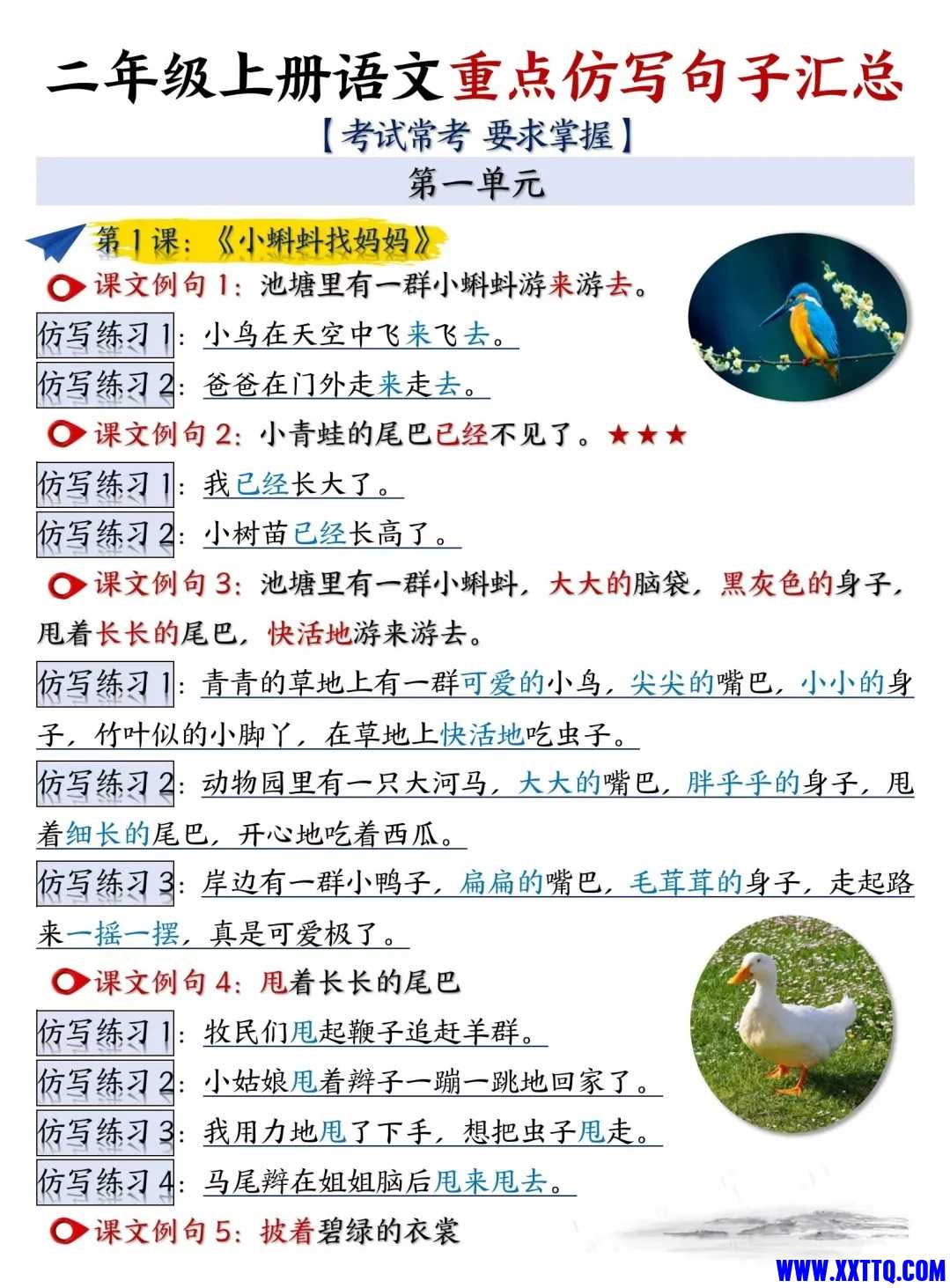 131.jpg