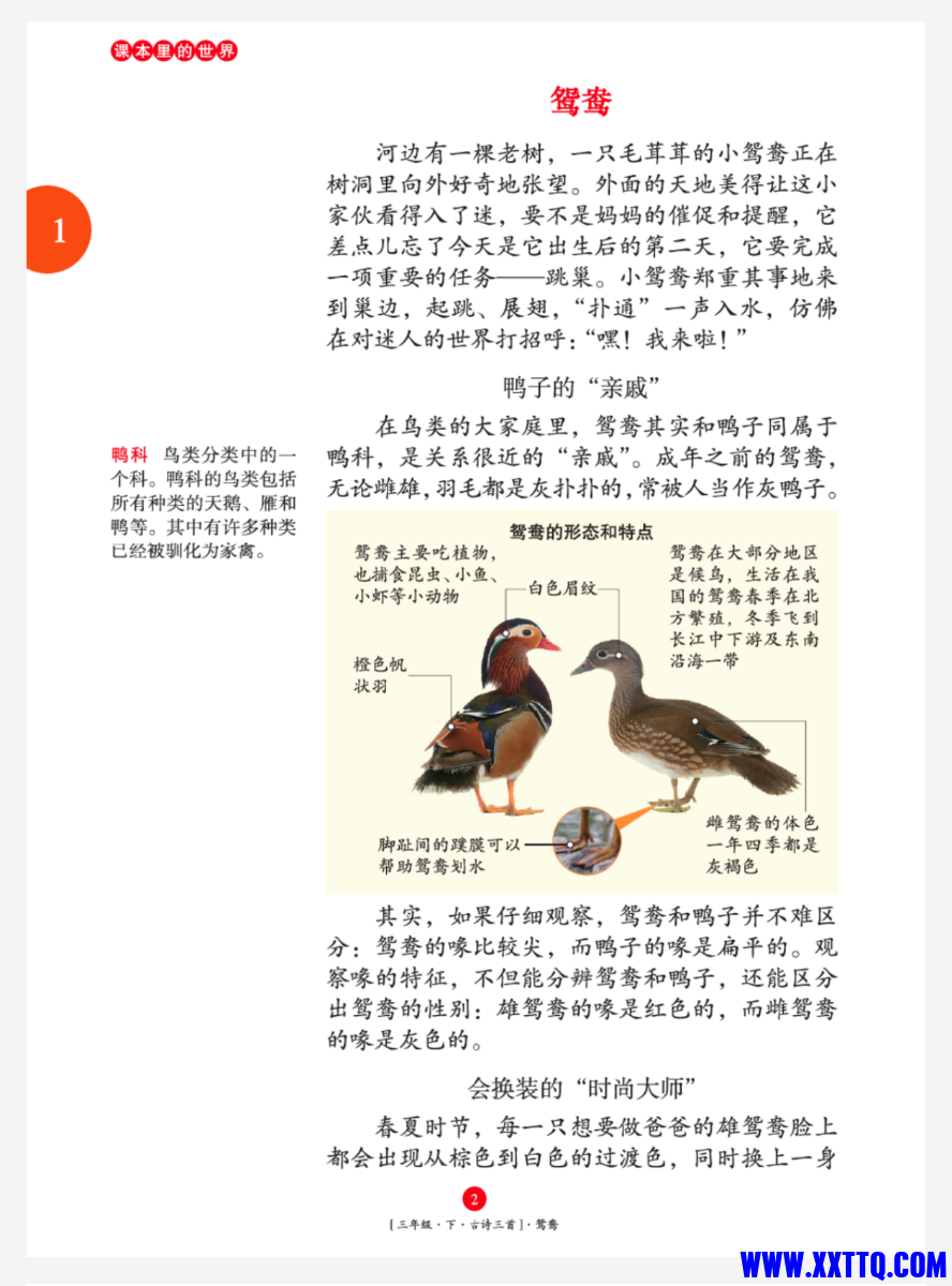 Screenshot_2025_0113_151632.png
