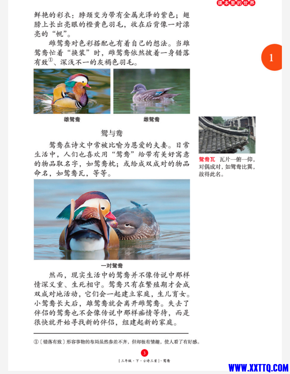 Screenshot_2025_0113_151641.png