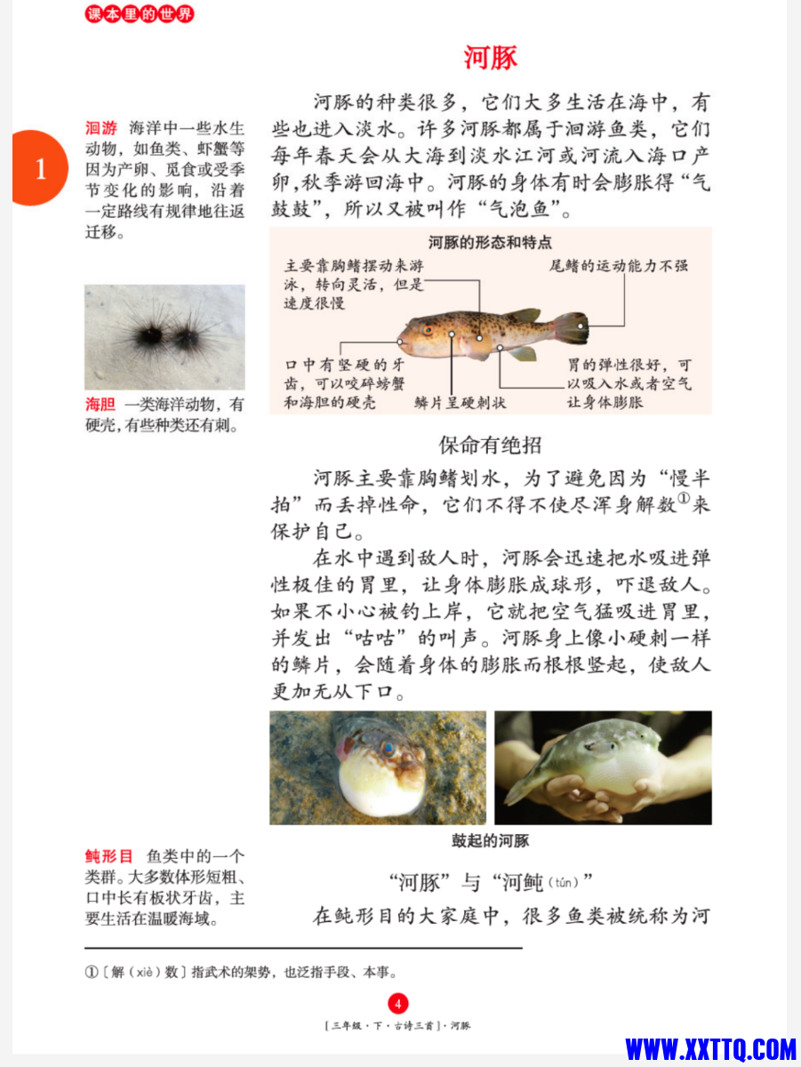 Screenshot_2025_0113_151649.png