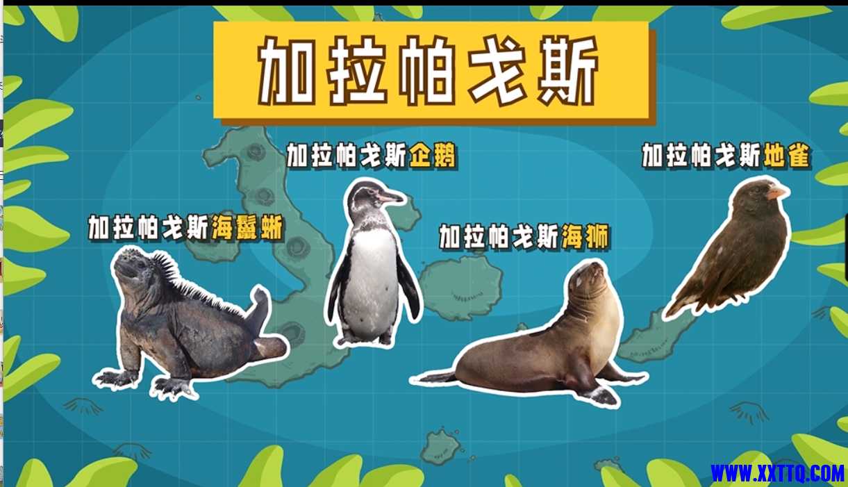 微信截图_20250117161545.png