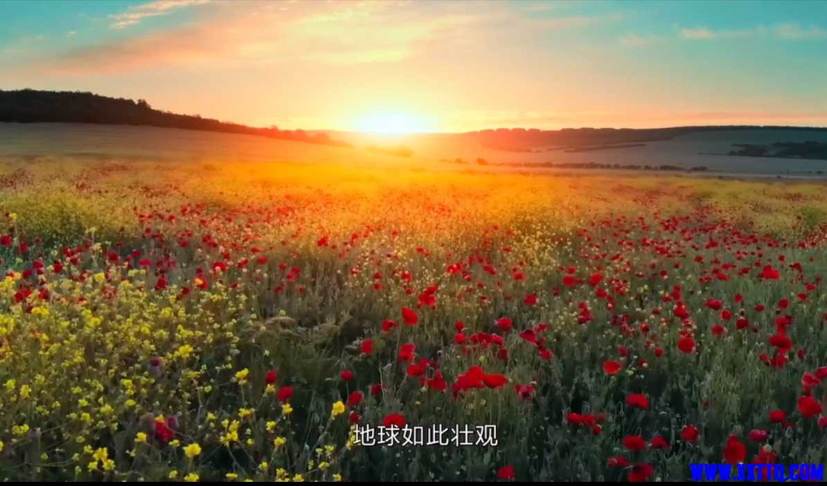 微信截图_20250214161350.png
