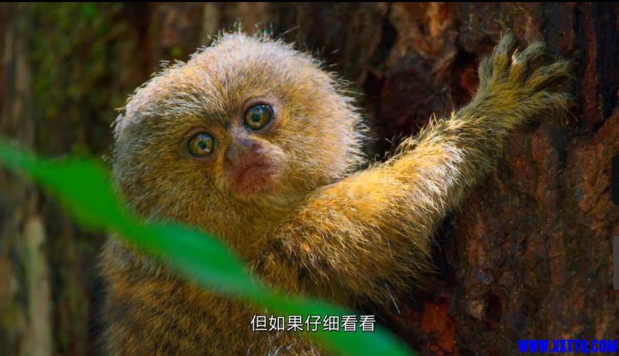 微信截图_20250214161359.png
