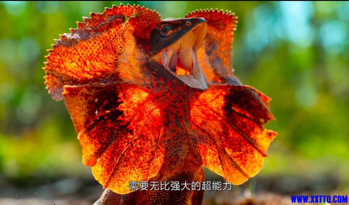 微信截图_20250214161411.png