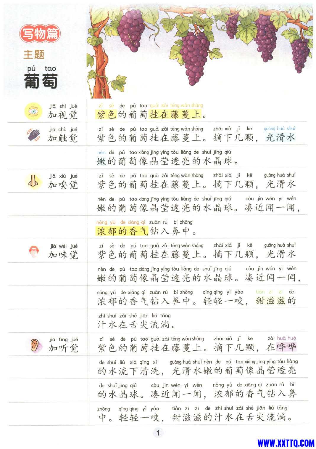 一看就会五感法_4.jpg