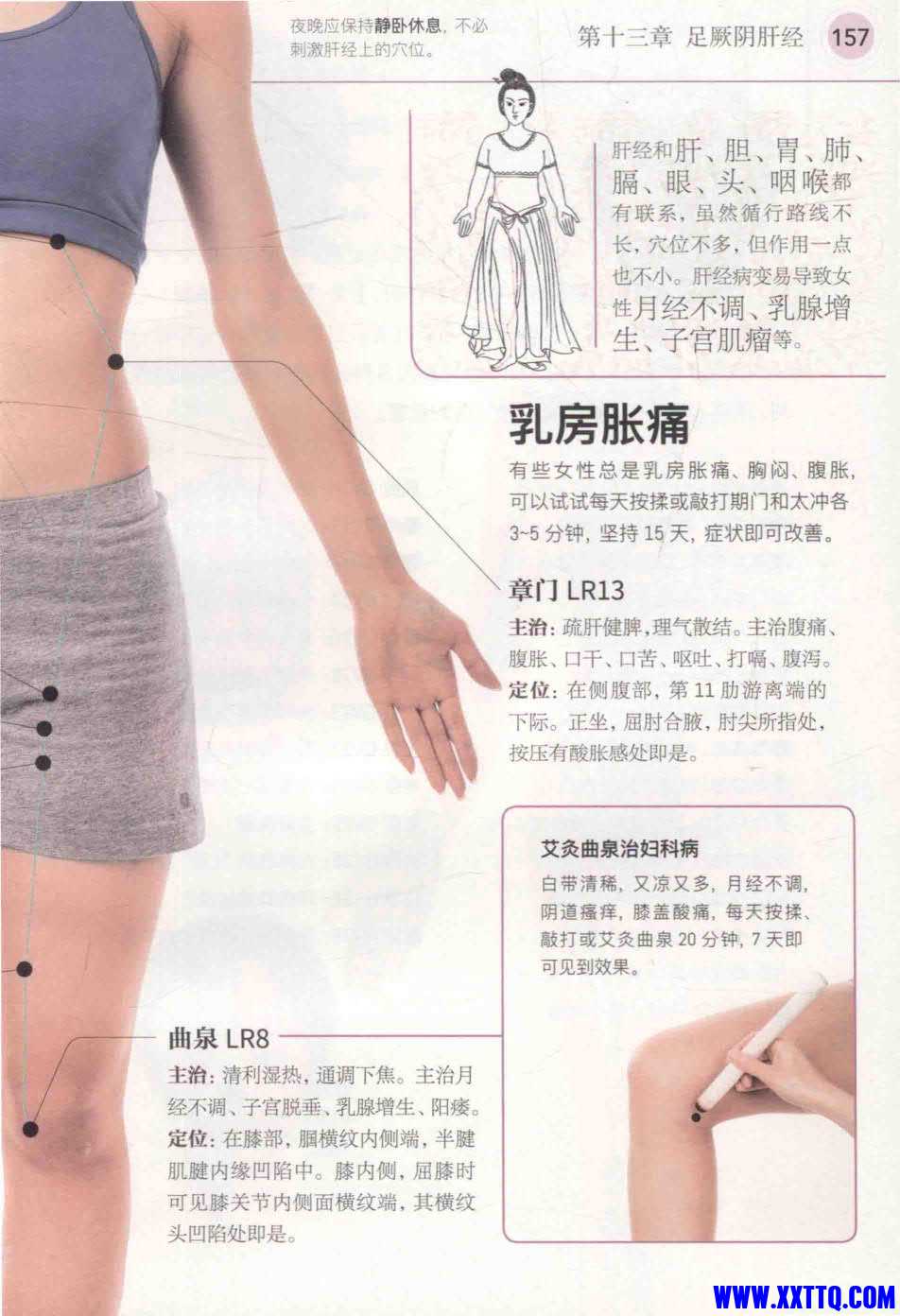 女性经络穴位保养图册 (查炜)_5.jpg