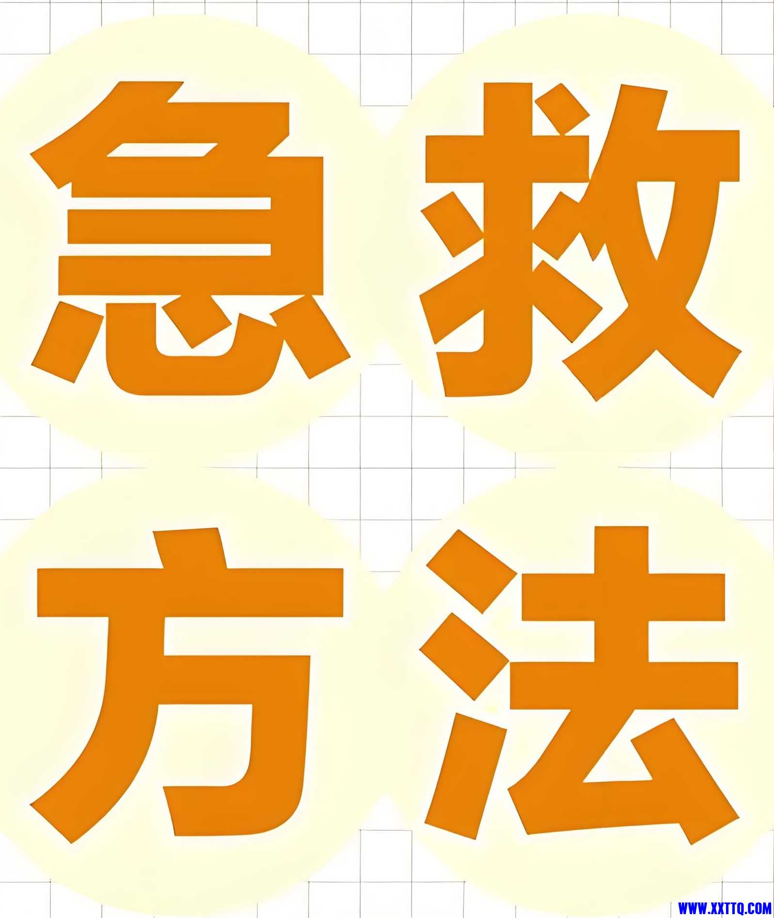 b6684a28-f8fc-4904-943d-57102e5eabd9.jpg