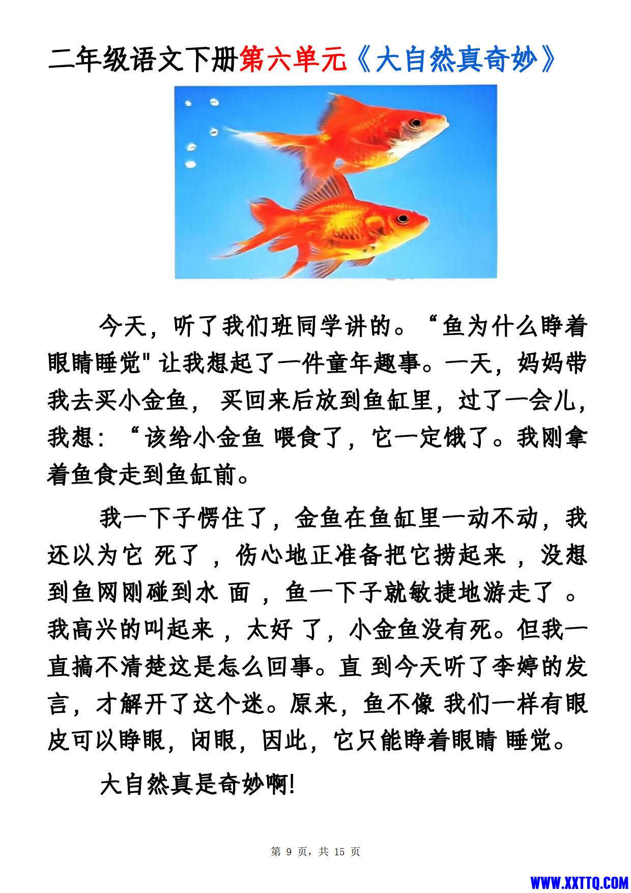 0131二下语文1-8单元看图写话范文集锦13篇（15页）_5.jpg