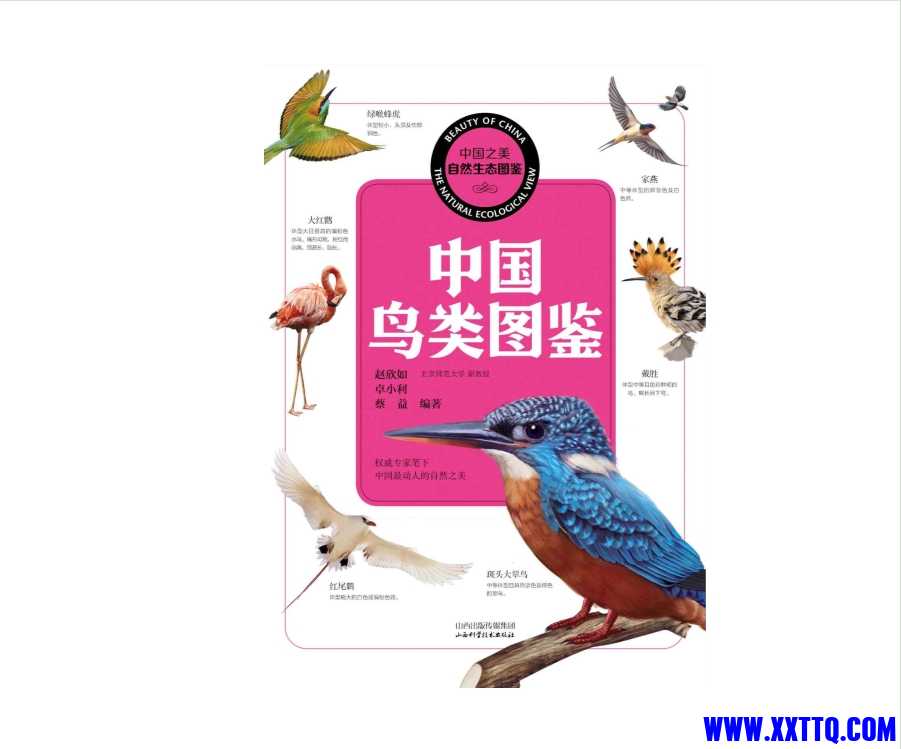 微信截图_20250327102018.png