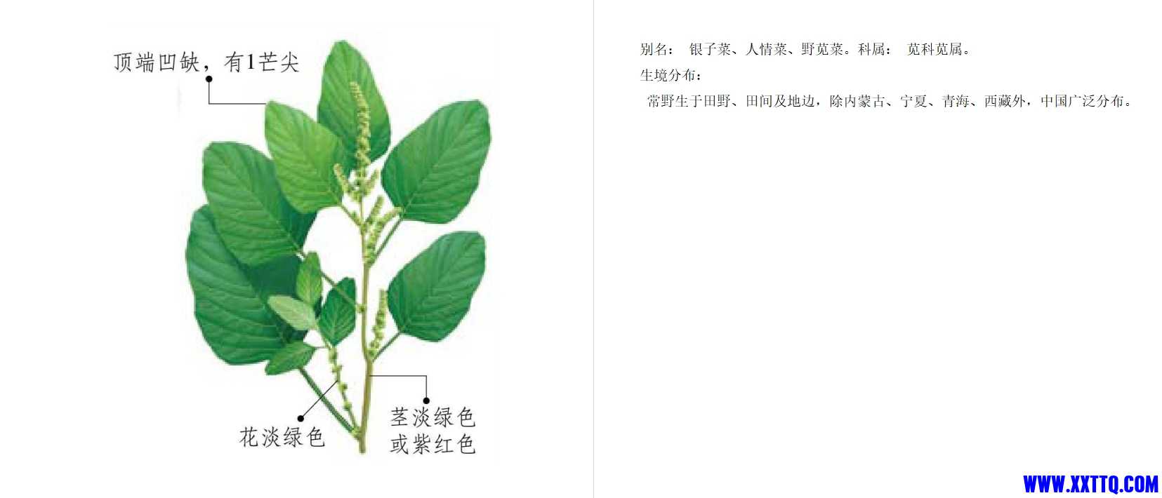 微信截图_20250327102103.png