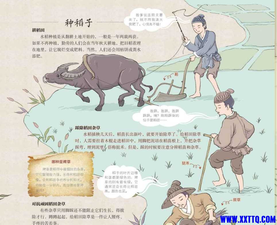 微信截图_20250414100144.png