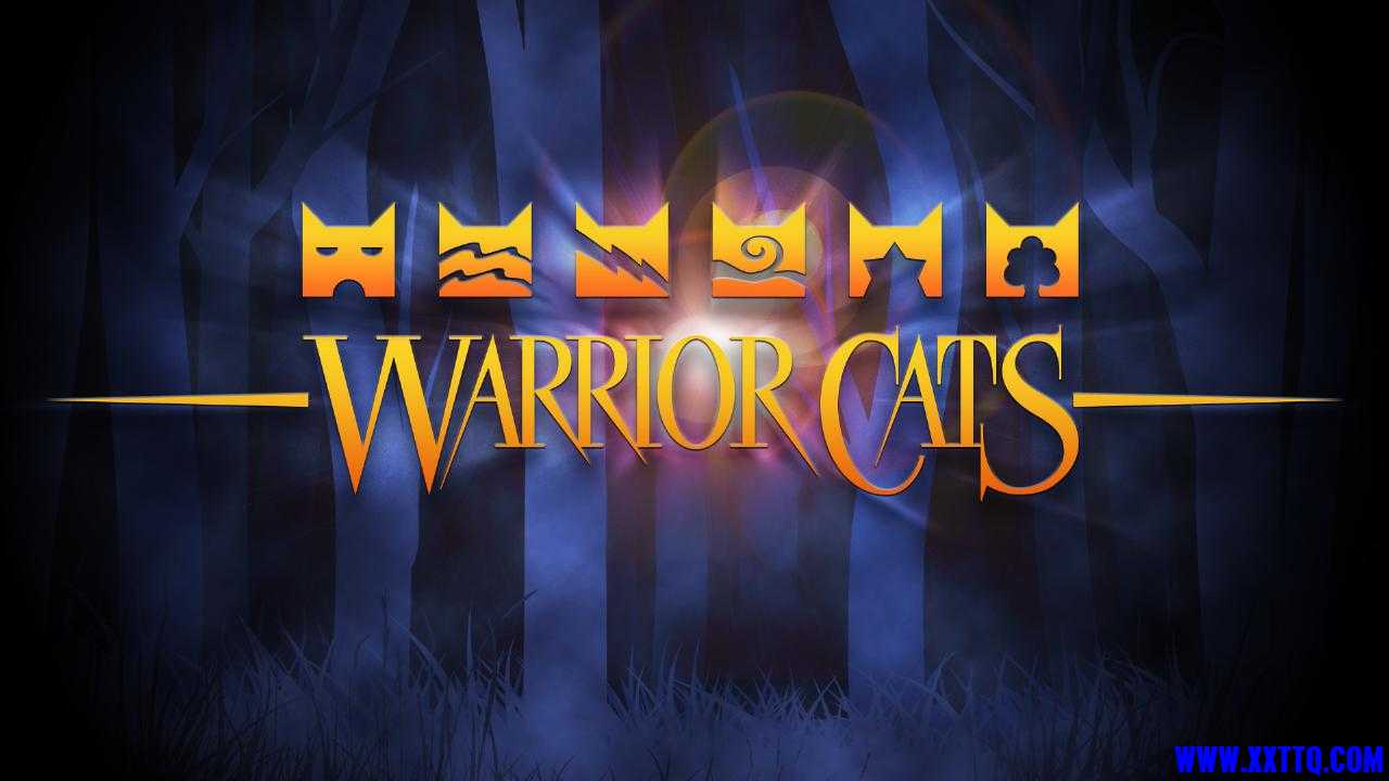猫.jpg