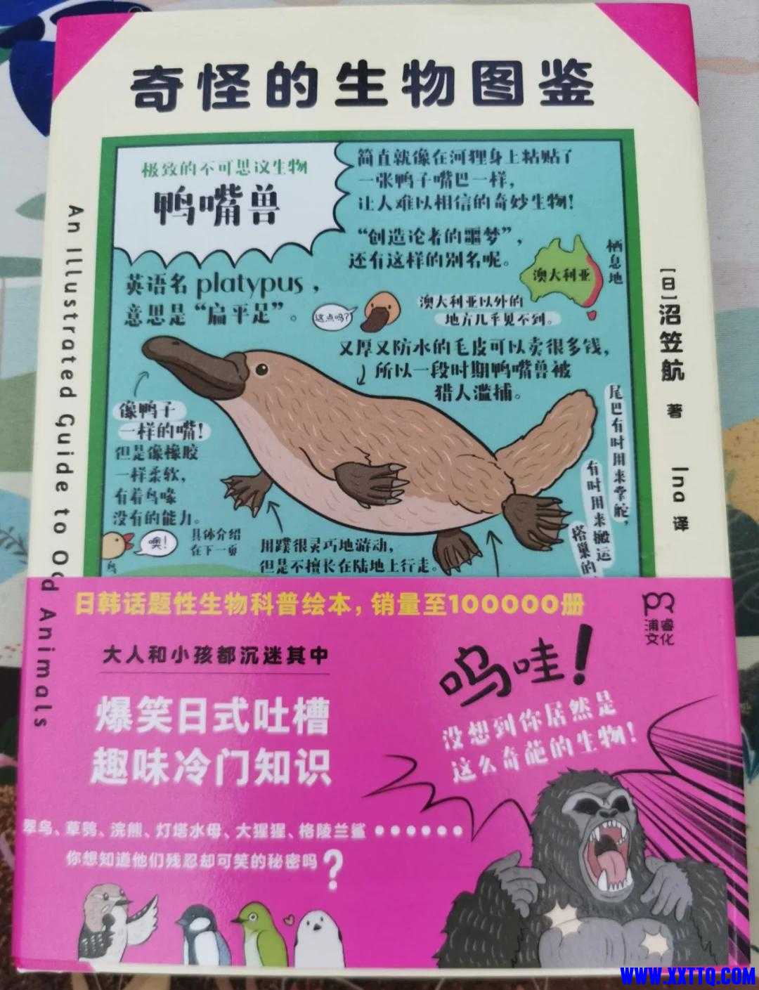 a1815a21938fdf304cd69bd0d8d8080f.jpeg