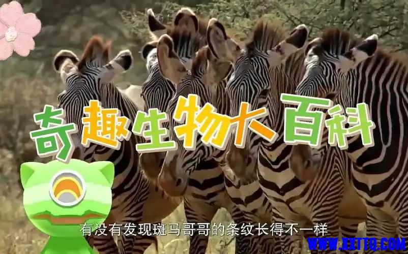 u=967157565,2931371488&fm=253&fmt=auto&app=120&f=JPEG_jpg.jpg
