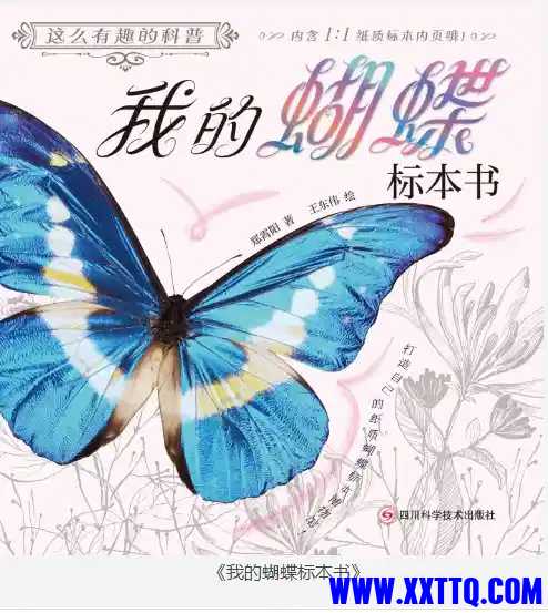 20250814064412-1755125052763-893_54KGVU2HZK3Y5SQ.jpg